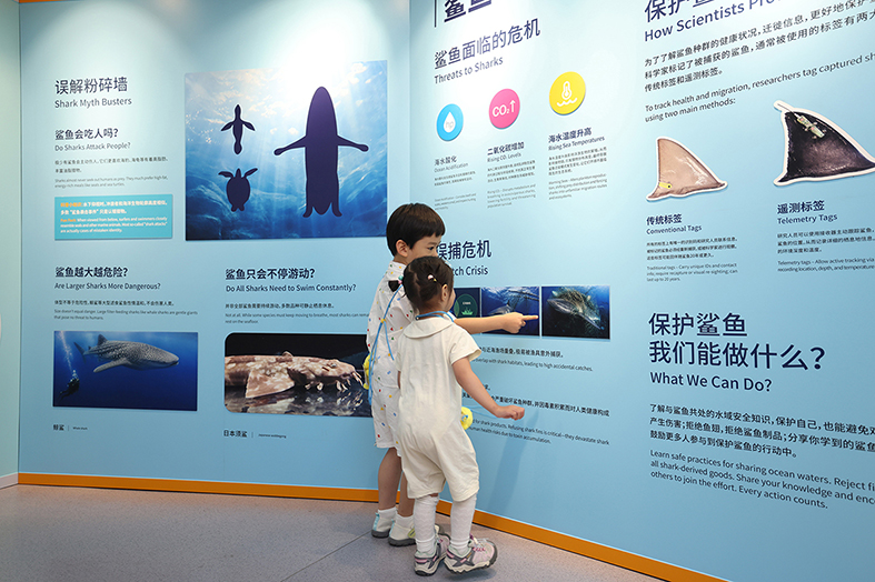3.  科普展示 - 副本.JPG