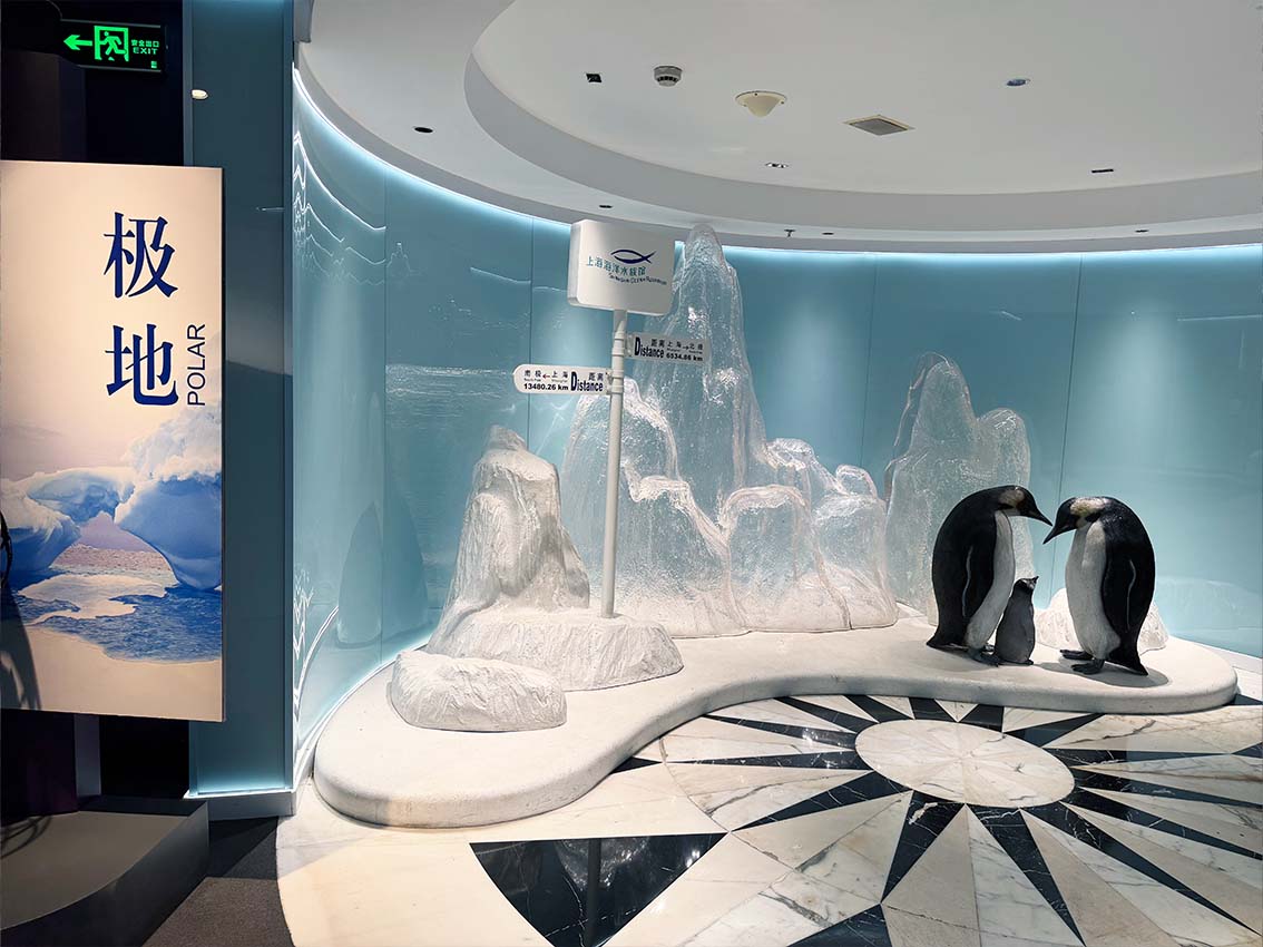 Farther Than the Cosmos — The Polar Regions