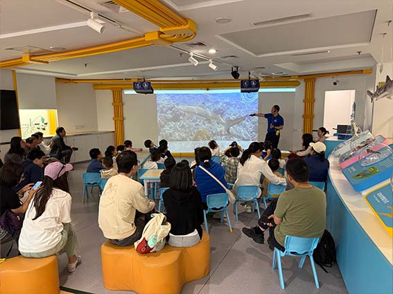 迪迪课堂  | “鲨鱼妈妈那些事儿”——五月课程回顾