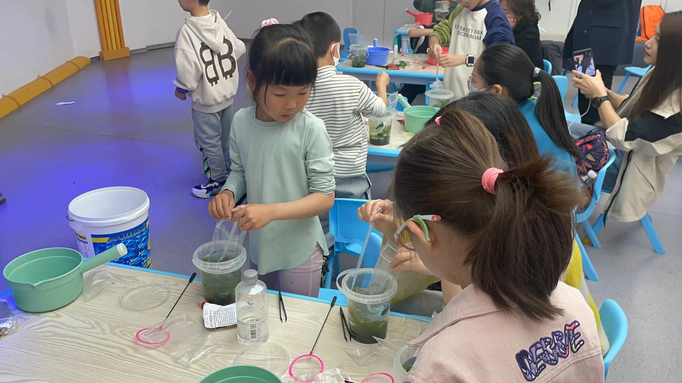 Junior Aquarist Experience