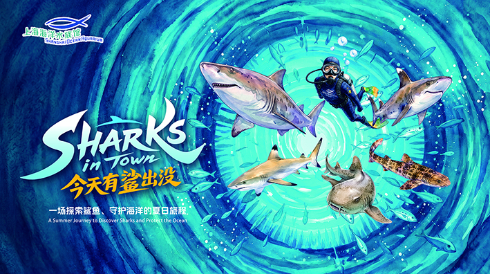 上海海洋水族馆暑期“今天有鲨出没”主题活动