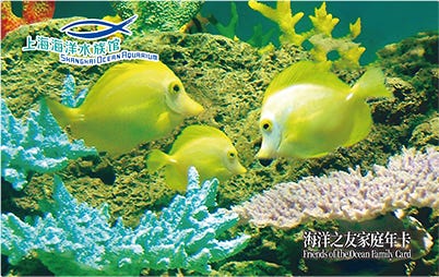 海洋之友家庭年卡
